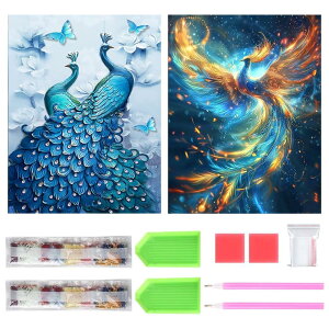 TRX _ChA[g Lbg _Ch̊G 2Zbg ꂢ Sʓ\t _ChA[g 5D S l̎q DIY |Lbg Ƃ̕ǂ̑ (J)