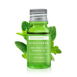 Beautytrees yp[~g GbZVIC 10ml  VR100 Rȍ A}IC A} fBt[U[p A}Xg[p }bT[Wp C p
