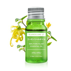 Beautytrees CC GbZVIC  10ml VR100 Rȍ A}IC A} fBt[U[p A}Xg[p p }bT[Wp C