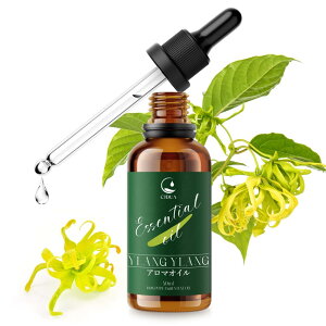 CJDUA CC  50ml GbZVIC VRo Rȍ A}IC fBt[U[EA}Xg[E퐶 A}S҂ v[gɂœK Ylang Ylang Essential Oil