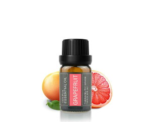 Cywinfow O[vt[c A}IC 100VRAR O[vt[cGbZVIC 10ml (WTCY)