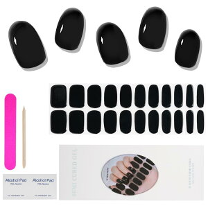 Chisafly WFlCV[ d^Cv lCV[ \邾 WFlC d 22Zbg  Ղ Zt ubN XeBbNt  PF  n Cg }jLA