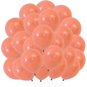 EXGOX o[ D 100 _F SD   Ɍ ی^ ebNXo[ a o[Xf[ p[eB[  Xܑ j Cxg ^  10C` (_F)