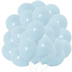 EXGOX o[ D 100 }JJ[ u[ SD   Ɍ ی^ ebNXo[ a o[Xf[ p[eB[  Xܑ j Cxg ^  10C