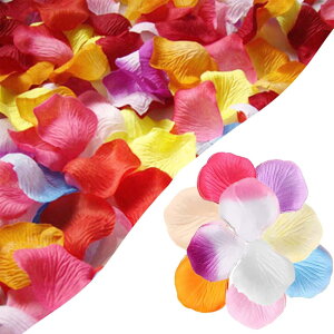  10F 2000 ỏԂт  t[V[ v |[Y EGfBO X܏ o^C a p[eB[ j t S lC ʐ^?e 