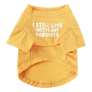 Jimjis  tďH~ ̕ ^Ngbv ybg   L    hbOEFA m L̕ ʋC Lk U o  ѕی 