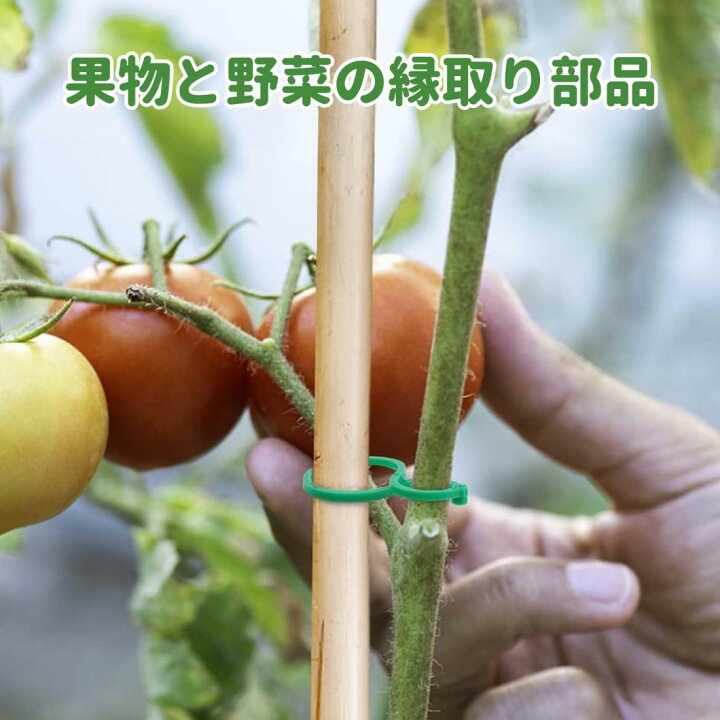 楽天市場】誘引クリップ 【100個入】支柱クリップ 園芸クリップ 