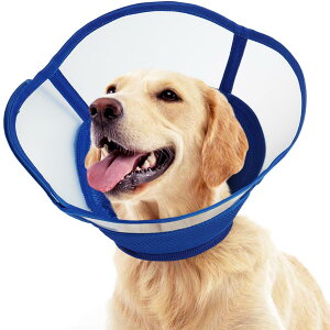 犬用 エリザベスカラー 軽量」の人気商品一覧・価格比較 - 価格.com