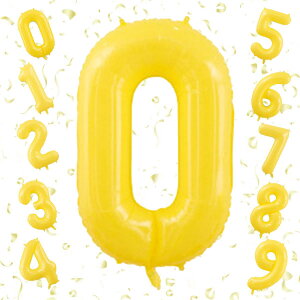 GOPATYo[ 傫 40C` 100cm io[A~D at LO o[Xf[p[eB[ j l  w (0, F)