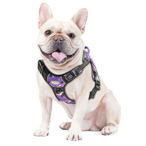 AUROTH  n[lX Ԕˌpn[lX ߉\ ^E^E^Ή HcEČɓKUpn[lX U p y S  h~ hbO P