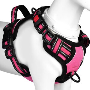 [2025ŐV^n[lX]BaoCheng p ^/^/^n[lX p h~ A^}ʂ P݌y TCY\ Ԕˍ Ȃ ʋC ȒPE  