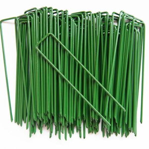 lH s 100{Zbg Niesporek hV[g Œs us s ϋvU^s }`15cmtbN^_Ɨplbgi100{sj