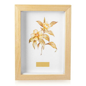 Annhua ʐ^ 2L tHgt[ ʐ^ ؐ  tHgX^h ʐ^t[ Vv ʐ^  t[ z i` ʐ^X^h یtBt cp x[