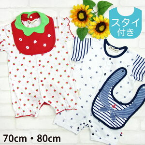 y[֑zX^Ct  xr[ Jo[I[ p[X C`S }s70cm 80cm  ̎q j j̎q Ԃt