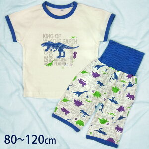 t  pW}  ǂ LbY xr[ ㉺ Zbg  t s 80cm 90cm 100cm 110cm 120cm j̎q q LbY xr[ t