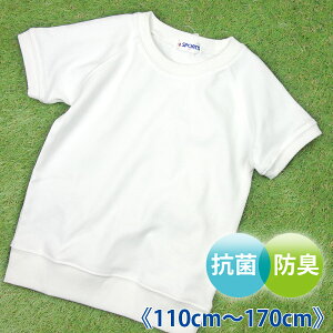 ێ  O  ̑ ̑  V R hL w wZ ̈  jps110cm 120cm 130cm 140cm 150cm 160cm 170cm j  j̎q ̎qt