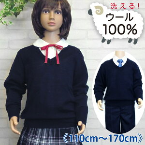 E[100% XN[Z[^[ w  n VlbN LbY Z[^[ w Z  ʊw w s110cm 120cm 130cm 140cm 150cm 160cm 170cm j̎q ̎q WjA 100%t