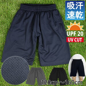 ̑ pc X|[cEFA G hCbV z UPF20 UVJbg n[t ̑ Ks 120cm 130cm 140cm 150cm 160cm j̎q ̎q jp LbY q t