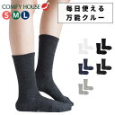 コンフィハウス 靴下 メンズ レディース ソックス クルー丈 日本製 旧 ラソックス rasox COMFY HOUSE おしゃれ かわいい 秋冬 あったか カジュアル ギフト プレゼント ベーシック・クルー chl220cr1