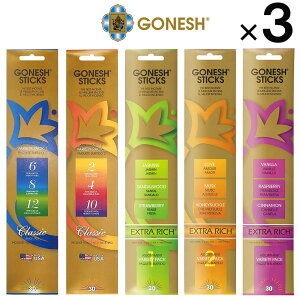 GONESH K[lbV oGeBpbN 30{ Iׂ3_Zbg CZX  XeBbN No.6 No.8 No.12 No.2 No.4 No.10 WX~ T_Ebh Xgx[ u XN nj[TbN oj