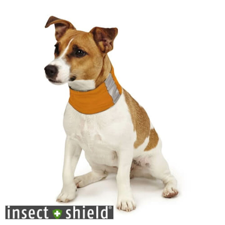 楽天市場 Sale セール インセクトシールド ネックゲイター Insect Shield ドッグ ボーンズ 虫よけ 虫除け ペット お散歩 犬 ヨガ ライフスタイル Psps