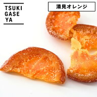 月ヶ瀬 ドライフルーツ 清見オレンジ 79g セミドライ 国産 柑橘の甘みと香り 酒のつまみ ビールに合う お…
