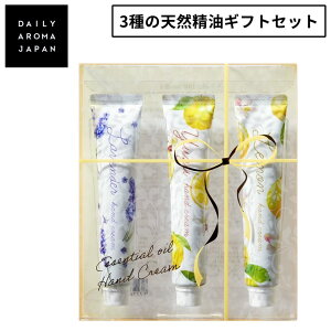 fC[A}Wp nhN[ Mtg Zbg 䂸  x_[ VR ~jTCY 20g×3Zbg 61517  j v[g g DAILY AROMA JAPAN