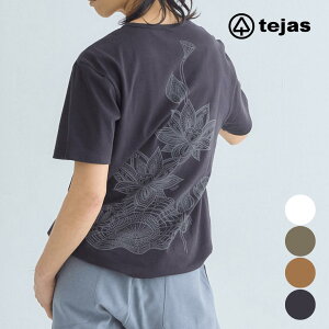 eWX Z[ KEFA gbvX TVc  fB[X Y jZbNX vira-Tqlotusrtu251414 tejas K seBX EFA  킢 2025 t  V