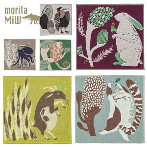 XcmiW nJ` K[[nJ` nJ`^ITCY ^InJ` 25cm×25cm ΂^I 틴D morita miw (^~E) nJ` Mtg Y fB[X  킢