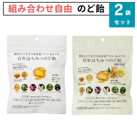 2袋セット だいじょうぶなもの のど飴 百年はちみつのど飴 ゆずはちみつ味 生姜レモン味 たかくら新産業 オーガニック レザーウッドハニー + ハーブキャンディ ギフトフリー ブルーヒルズハニー マヌカハニーのど飴 MGO100＋相当 たかくら新産業