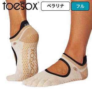 toesox KC5{w xi t tNg Obv\bNX C ܖ{w\bNX fB[X Y Ki