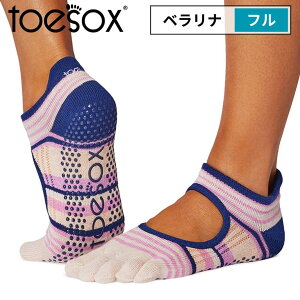 toesox KC5{w xi t C^Ch Obv\bNX C ܖ{w\bNX fB[X Y Ki