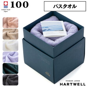 n[gEF ^I oX^I 唻 60×120cm n[gEF 100 HYAKUiЂႭj MtgpbP[Wt Zbg ܂Ƃߔ { Mtg 킢 v[g ̓ ̓ j  V