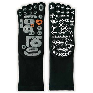 O} C Y mikasa ʑ 5{w  \bNX { ܖ{w\bNX ڃ}bT[W TSUBOVs C̎O} Mtg v[g ̓ v[g ̓Mtg