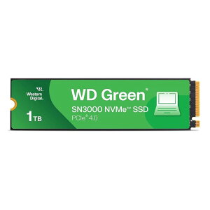 Western Digital 1TB WD Green SN3000 NVMe ����SSD - �\���b�h�X�e�[�g�h���C�u - Gen4 PCIe M.2 2280 �ő�5,000MB/�b - WDS100T4G0E