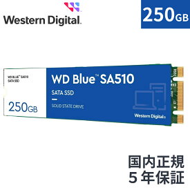 【国内正規流通品】 Western Digital ウエスタンデジタル 内蔵SSD 250GB WD Blue SA510 M.2-2280 SATA WDS250G3B0B |省電力 sata3 ノートPC 増設 7mm 長寿命 増設 高速 PCパーツ 内蔵ssd