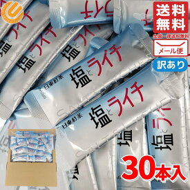 日東紅茶 塩とライチ 粉末 お試し 30本 1000円ポッキリ ポイント消化 コストコ 通販 メール便 送料無料