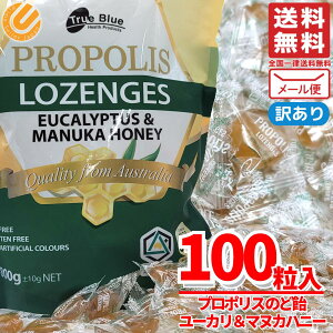 }kJnj[  mgo 600{ 500g (100) LfB v|X [J 󂠂 (O܂Ȃ) RXgR ʔ [ 