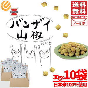 oUC R  ː 30g × 10 ܖ2026N1 AEgbg [ RXgR ʔ 