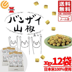 oUC R  ː 30g × 12 ܖ2026N1 AEgbg [ RXgR ʔ 