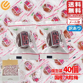 カリカリ梅 梅しば 40個入 訳あり(つぶれ有) 大粒梅 塩分補給 メール便 コストコ 通販 送料無料