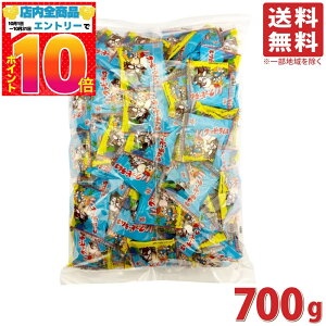 Nbs[l lߍ킹 700g rbOVFApbN iIWEC`SEje  Ɩp l َq ʉَq 