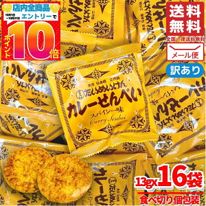 J[ׂ ߂ XpCV[ 13gx16 J[ ܖ2025N1130 AEgbg [ 󂠂 RXgR ʔ 