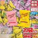 ハワイアンホースト バナナチョコ ＆ストロベリー クランチチョコ 個包装 20個 2種数量ランダム 訳あり 賞味期限2026…