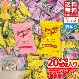 ハワイアンホースト バナナチョコ ＆ストロベリー クランチチョコ 個包装 20個 2種数量ランダム 訳あり メール便 コストコ 通販 送料無料