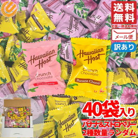ハワイアンホースト バナナチョコ ＆ストロベリー クランチチョコ 個包装 40個 2種数量ランダム 訳あり メール便 コストコ 通販 送料無料
