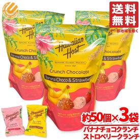 ハワイアンホースト バナナチョコ ＆ストロベリー クランチチョコ 個包装 300g(約50個) x3袋 コストコ 通販 送料無料