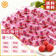 カリカリ梅 業務用 国産 梅しば 大粒梅 選べる 10粒 15粒 20粒 40粒 1kg 2kg 3kg 塩分補給 ムラオカ コス…