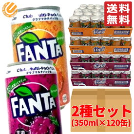 ファンタグレープ ファンタオレンジ 2種セット 350ml ×120缶 (30缶 ×2種 ×各2ケース) 段ボール梱包 コストコ