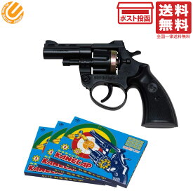 BIG BANG R-3 本体 & カネキャップ ×3箱セット 熊よけ 熊対策 害獣対策